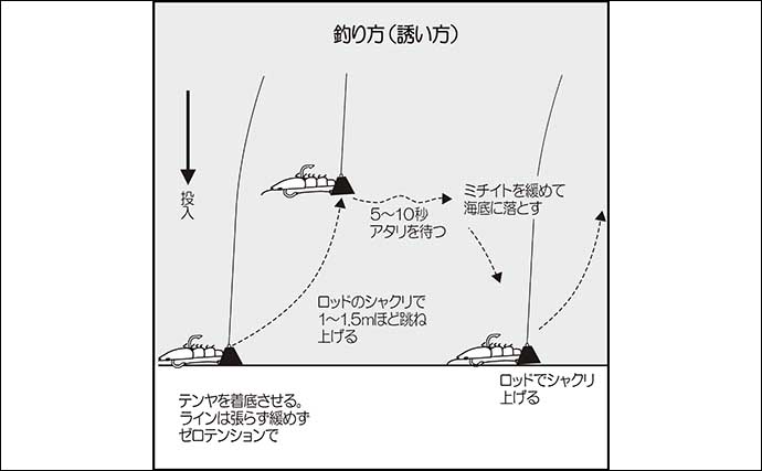 マダイ狙いひとつテンヤ釣り入門　【リール・ロッド・仕掛け・基本動作を徹底解説】