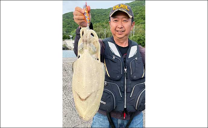 久志漁港でのエギング釣行で2kg級モンゴウイカ手中【鹿児島】アオリは不発