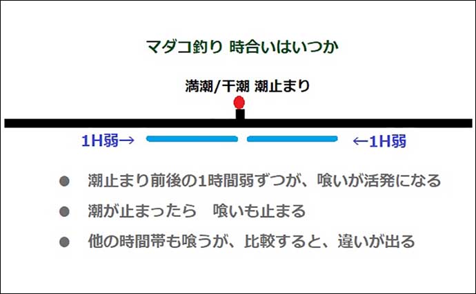 明石沖でマダコ釣りシーズンが開幕！【兵庫】 ボートエギタコ釣行で本命5連発