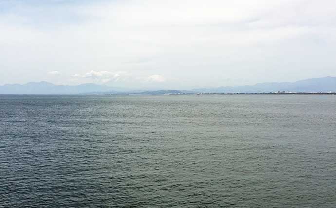 大阪湾ライトルアー釣行で想定外の25cm超えメバルに45cmチヌをキャッチ