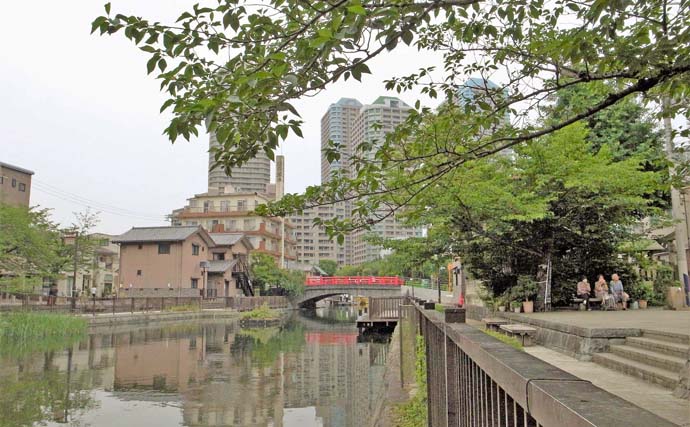 東京の人気ハゼ釣り場「佃堀」で8cm頭にハゼ28尾を手中　今後は型にも期待