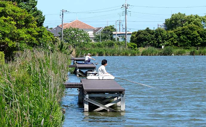 今週のヘラブナ推薦釣り場2024【千葉・袋のため池】