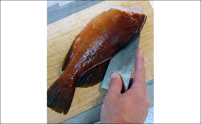 釣魚で作る「疲労回復」レシピ：アカハタのカルパッチョ風　刺し身は厚めにカット