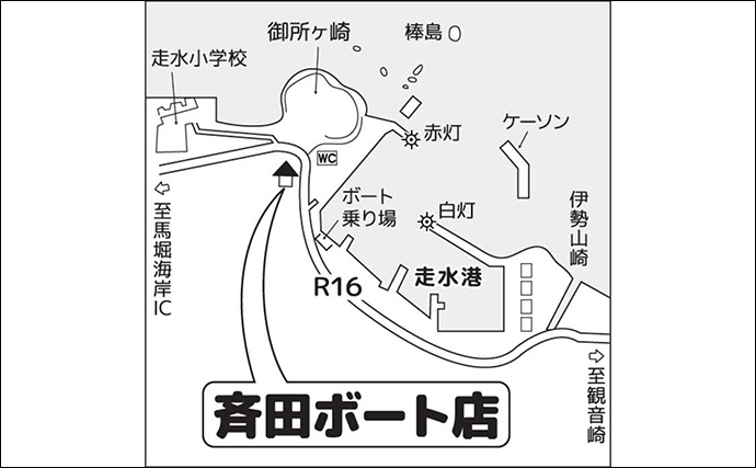 ボートシロギス釣りで22cm頭に8尾【神奈川・斉田ボート】別艇ではアジ快釣