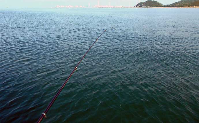 シロギス釣りのハイシーズンが到来　短時間のボート釣りでも2桁釣果達成