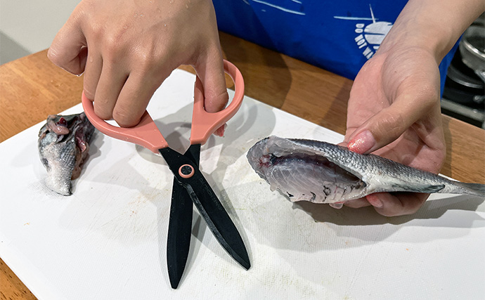 「サビキ釣りの最強お供はハサミ！」熱海港海釣り施設での大漁釣果があっという間に美味料理へ