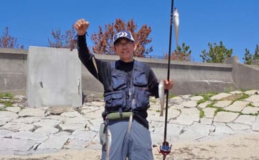 香良洲海岸での投げキス釣りで16cm頭に24匹キャッチ【三重】6連掛け…
