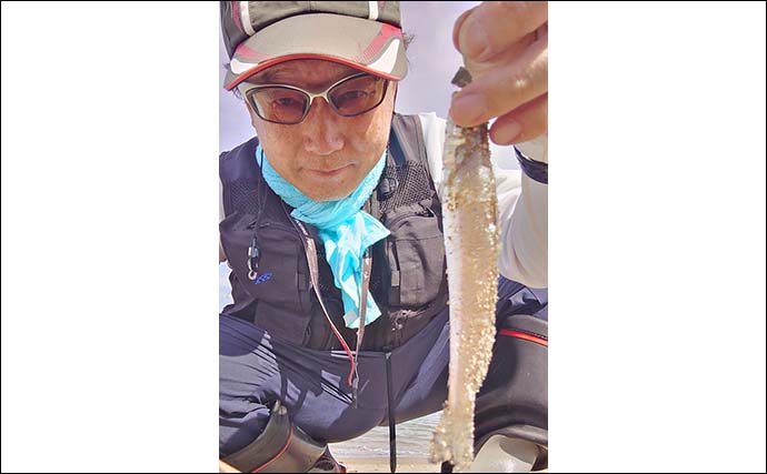 サーフでの投げ釣りでキスにサヨリを手中【三重・吉崎海岸】サヨリは30cm級の良型