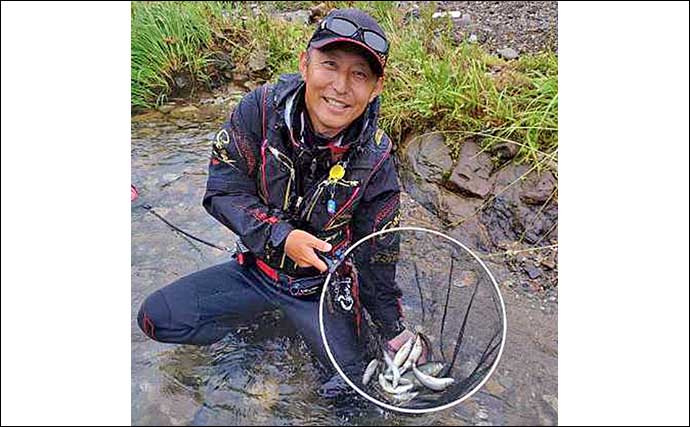 津保川でのアユトモ釣りで20cmの真っ黄色な鮎と対面【岐阜】降雨による水温低下に苦戦