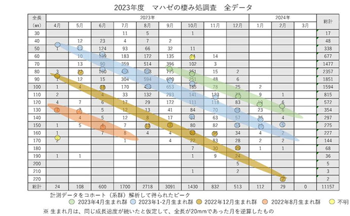 ハゼを釣ることで研究に貢献できる『江戸前ハゼ復活プロジェクト』とは？