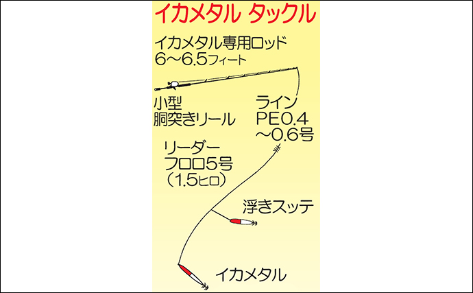 【最新イカメタル攻略法】仕掛け＆釣り方・オモリグ&メタルティップラン使い分けを解説