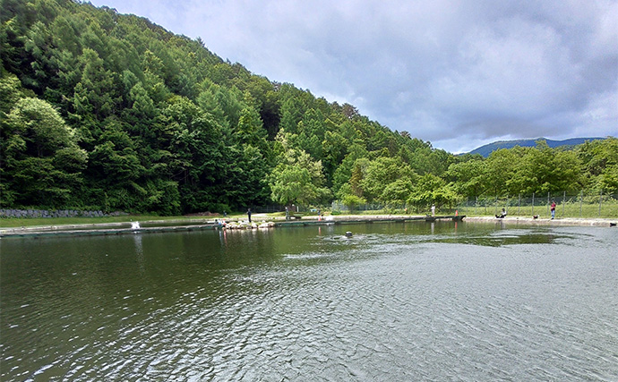 平谷湖フィッシングスポットで大型マスやアルビノ含めて219匹キャッチ【長野】