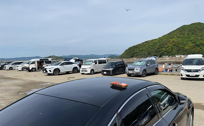 漁港でのデイアジングで極豆アジ入れ食い【和歌山】軽いリグのスローフォールが的中