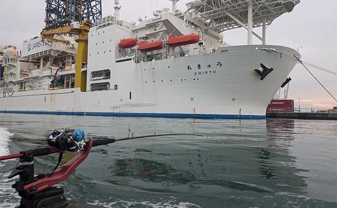 三保沖の「ギガアジ」狙ったコマセ釣りで42cm頭に大型アジを好捕【静岡・宝翔丸】