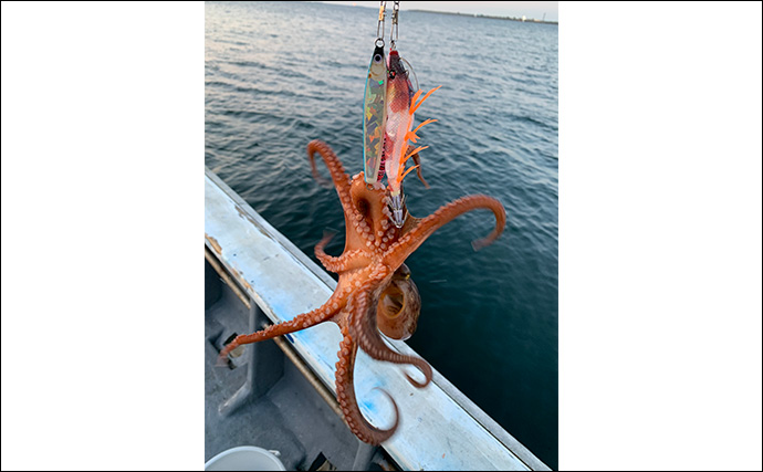 2日間の船釣り釣行でウナギとタコを狙う【三重】72cmウナギとタコを見事キャッチ