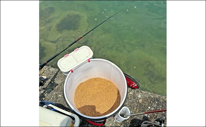 堤防でのウキダンゴ釣りでクロダイの「ツ抜け」を達成【静岡・沼津西浦】