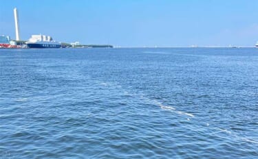 初夏の大阪湾の沖釣り事情　タチウオを本命に青物回遊も視野に入れよう