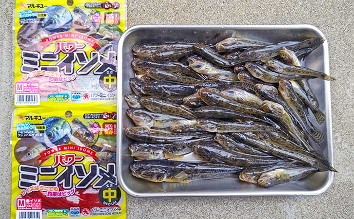 【ハゼ釣りのエサおすすめ11種】コンビニやスーパーで買える代用可能エサも紹介