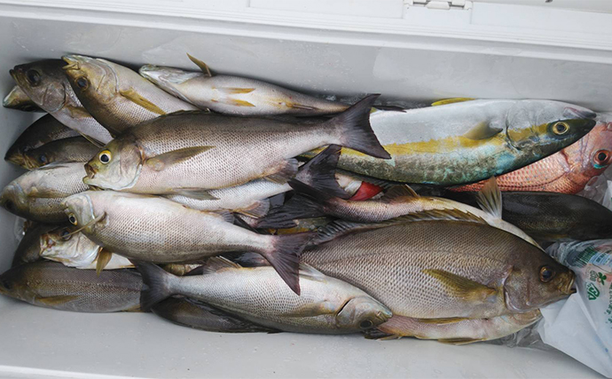 【船釣り釣果速報】博多湾内のタチウオ釣りで指7本級ドラゴン堂々浮上（福岡）