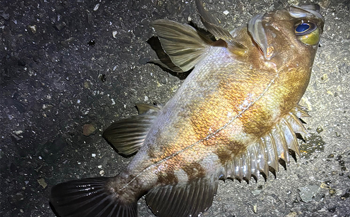 陸っぱりの釣りはエサとルアーどちらが釣れる？　結論は【釣りたい魚種次第】