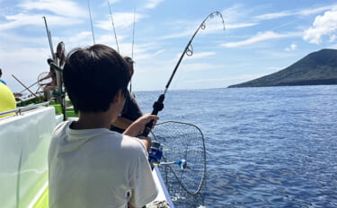 相模湾ライブベイト釣りでホンガツオ入れ食い【神奈川・葉山発】35kgキハダも船中浮上