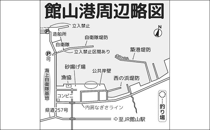 館山港での堤防カゴ釣りでソーダガツオ10尾をキャッチ【千葉】釣り場混雑にご注意を