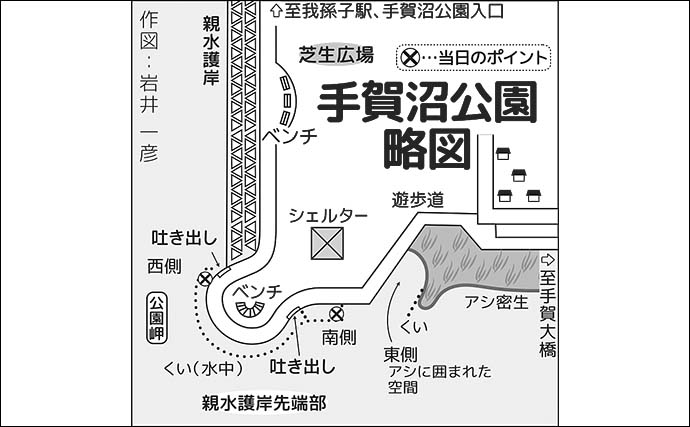 手賀沼公園でのテナガエビ釣りで7cm頭に14尾【千葉】夕マヅメに連発