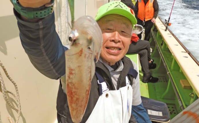 相模湾マルイカ釣りで25cm頭に56尾【神奈川・まごうの丸】直ブラ仕掛けが有利か