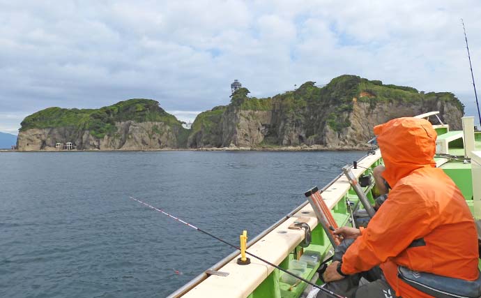 相模湾マルイカ釣りで25cm頭に56尾【神奈川・まごうの丸】直ブラ仕掛けが有利か