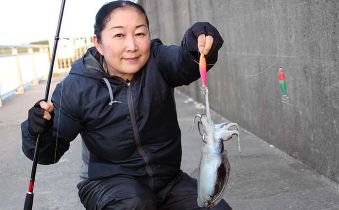 飯岡港でのシリヤケイカ釣りで本命好捕！【千葉】スッテ仕掛けにヒット