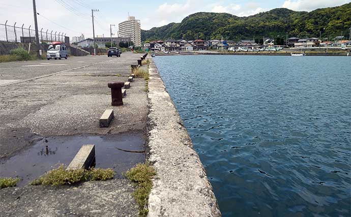 乙浜港でのフカセ釣りで43cmクロダイをキャッチ【千葉】断続的な降雨の中ヒット