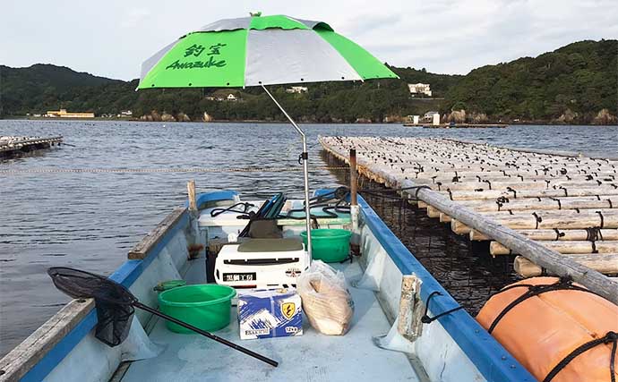 初夏の「カカリ釣り」で小型中心も本命クロダイ3尾手中に満足【三重・海香渡船】