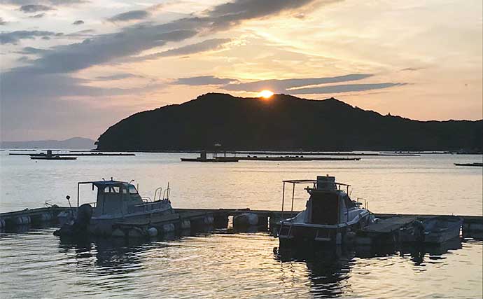 初夏の「カカリ釣り」で小型中心も本命クロダイ3尾手中に満足【三重・海香渡船】