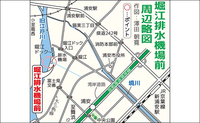 堀江排水機場前のテナガエビ釣り満喫【千葉・旧江戸川】大型混じりに2日間で45尾