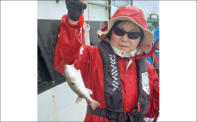 東京湾カットウ釣りでショウサイフグ29匹【神奈川・忠彦丸】絶品白子グルメに舌鼓