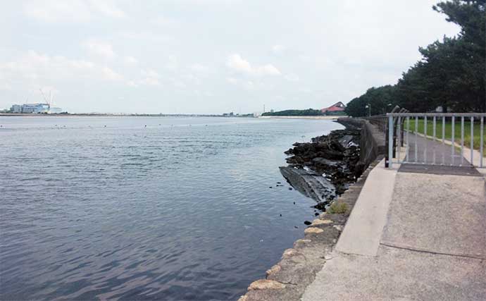 稲永公園でのハゼ釣りで本命4匹と対面【愛知】ウキ釣りとちょい投げで調査