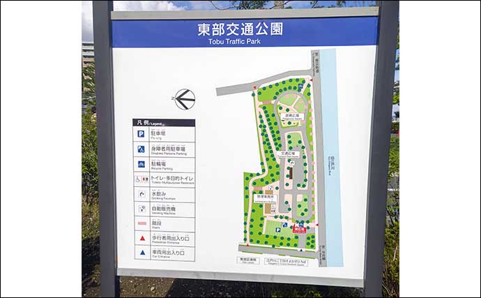 東部交通公園でのテナガエビ釣りで15cm超え頭に18尾をキャッチ【東京】