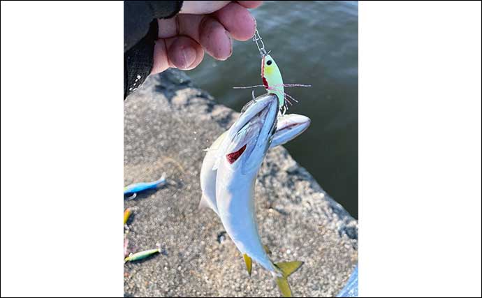 夏は堤防からメタルジグで小型魚を狙おう　ジグサビキ活用で狙える魚種もアップ