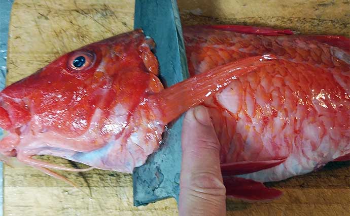 釣魚で作る「ご飯が進む」レシピ：オジサンのさっぱり酢　夏の疲れ解消にも