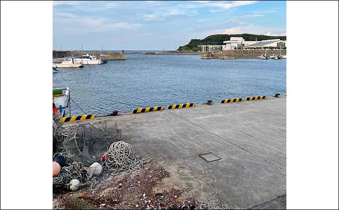 大阪湾沿岸のタチウオ釣り事情　アーリーシーズンなら泉南がオススメ