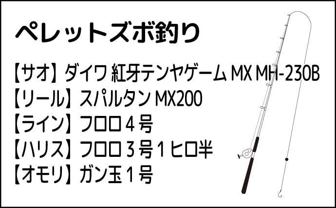 ペレットでグレ狙うご当地釣法『ペレグレ』初挑戦で50cm級シマアジ手中【和歌山】