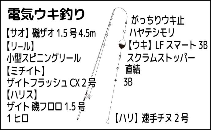 夜の堤防での電気ウキ釣りでセイゴ2桁釣果【熊本・三角港】場所の見切りが重要