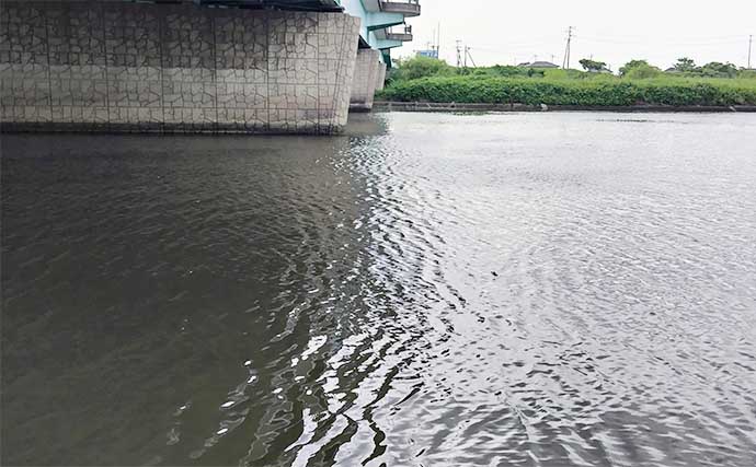 「ベイト多過ぎ！」ルアーシーバス釣行で60cm級手中【養老川・千葉】小型バイブレーションで攻略