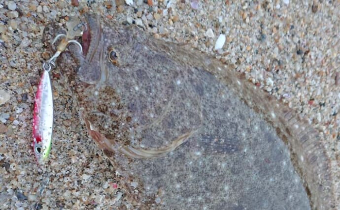 サーフルアー釣行で46cm肉厚ヒラメをキャッチ【茨城・赤浜海岸】朝マヅメに早巻きでヒット