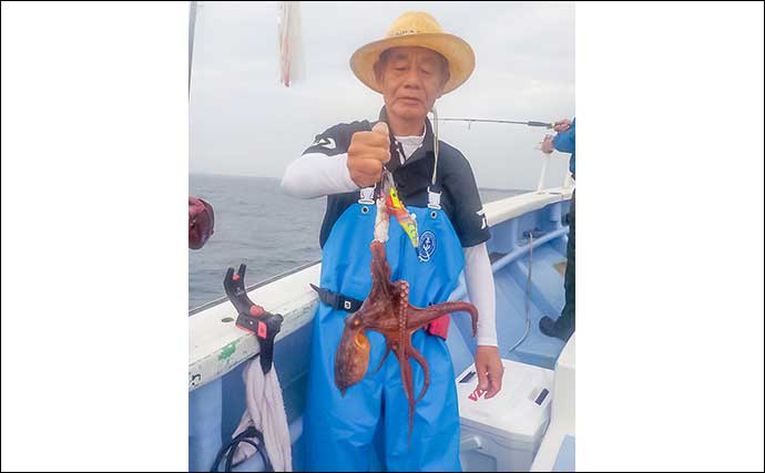 鹿島沖エギタコ釣りで船中全員安打【茨城・幸栄丸】良型中心で好土産に