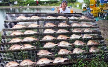 【海上釣り堀最新釣果】アオイソメ使ったミャク釣りでマダイ39匹と爆釣（三重・愛知）
