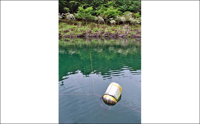 今週のヘラブナ推薦釣り場2024【山梨県・精進湖】