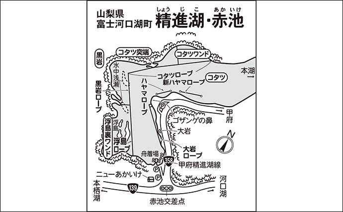 今週のヘラブナ推薦釣り場2024【山梨県・精進湖】