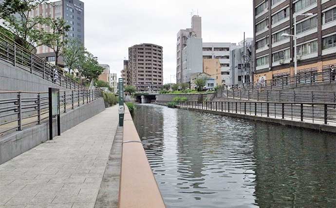 スカイツリー下でハゼ釣り満喫【東京・北十間川】12cm頭にマハゼ27尾と快釣