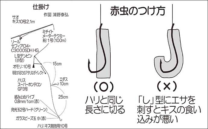 ボートシロギス釣行で23cm筆頭に43尾【山口】キス泳がせでのヒラメは不発